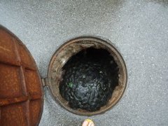 清理化粪池
